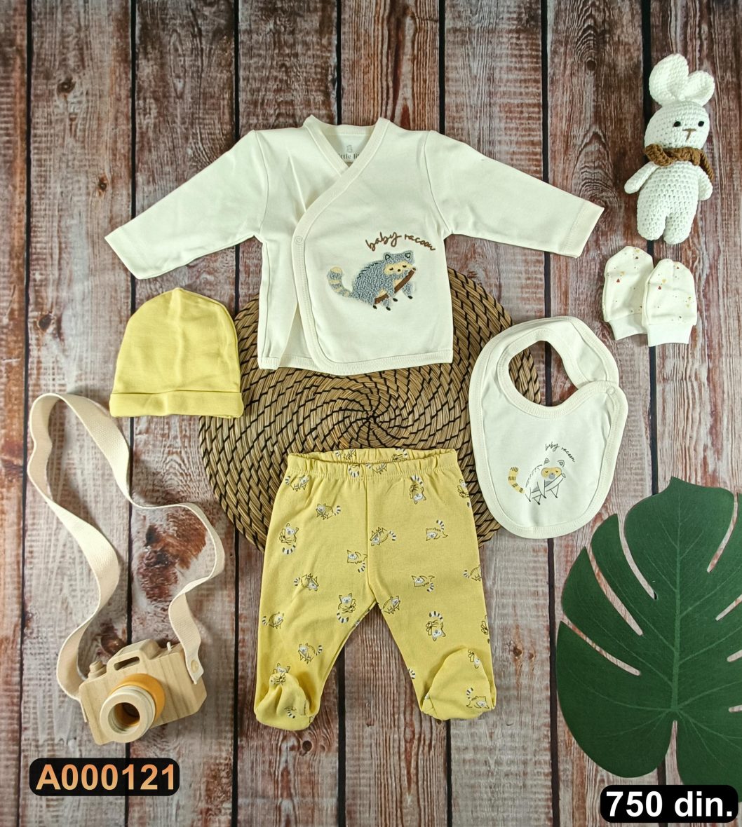 Petodelni set za iznošenje (50)