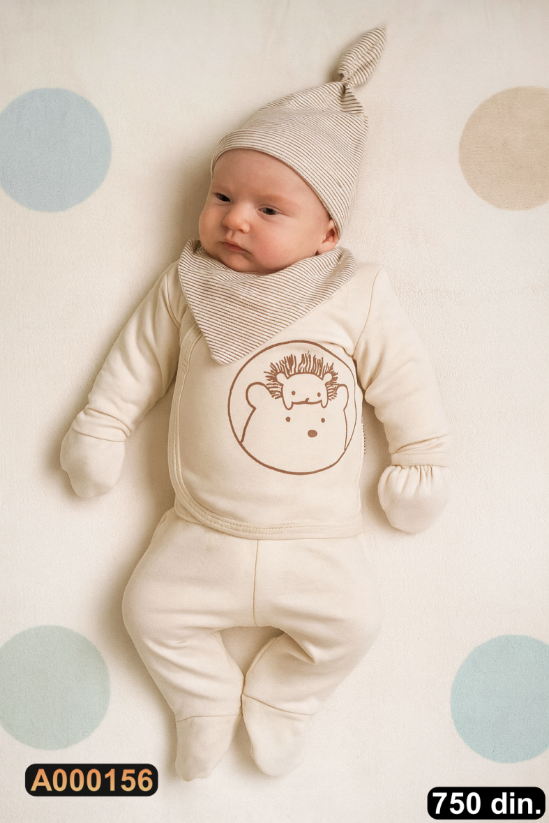 Petodelni set za iznošenje (56)