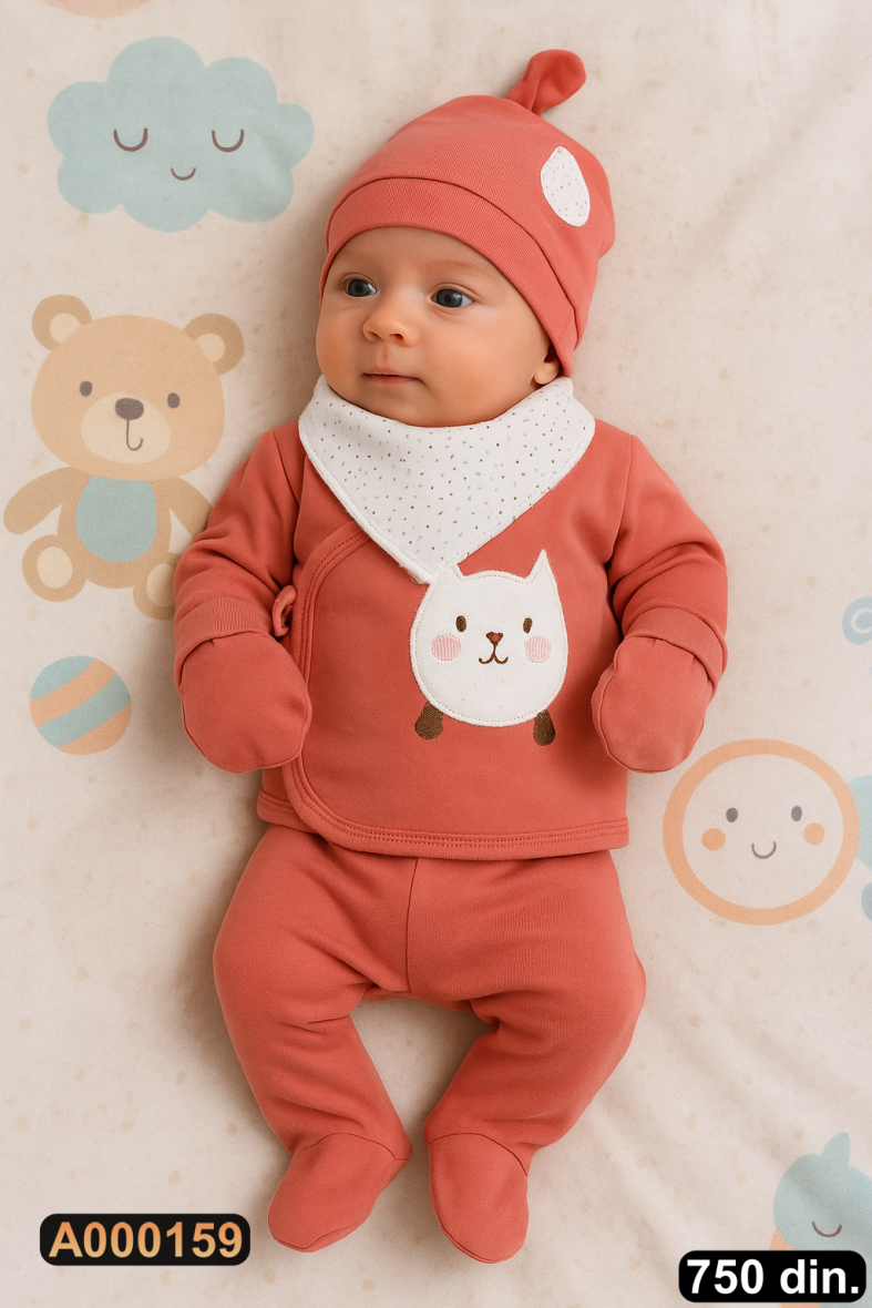 Petodelni set za iznošenje (56)