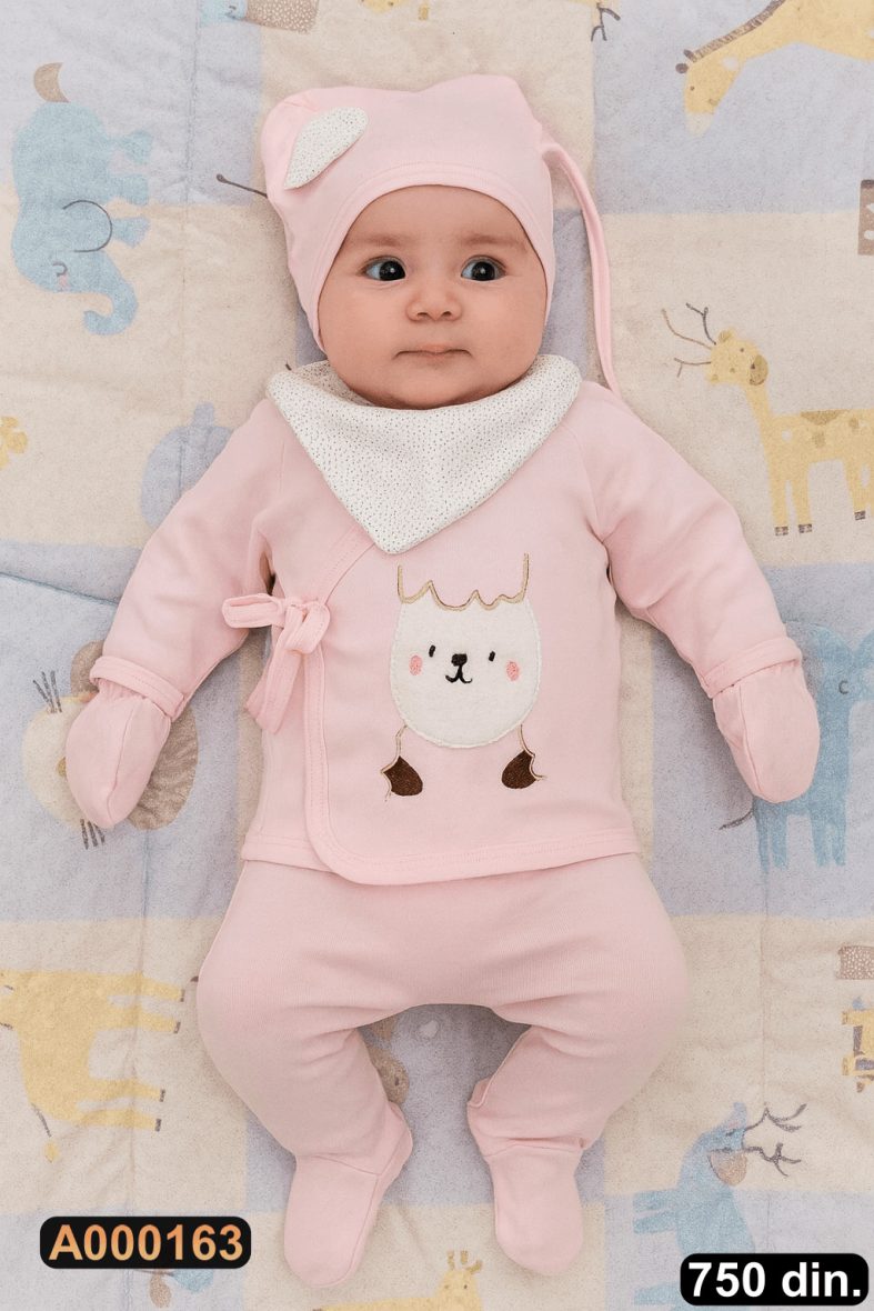 Petodelni set za iznošenje