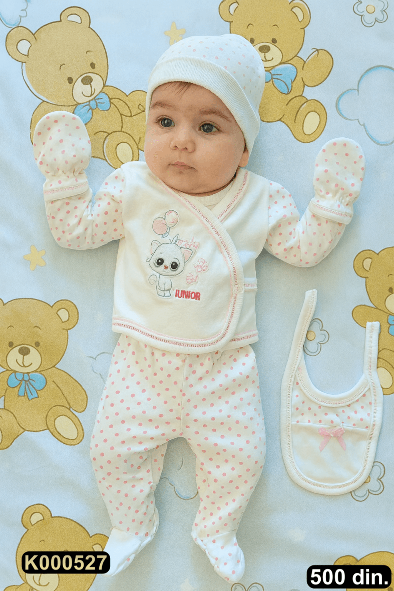 Petodelni set za iznošenje (56)