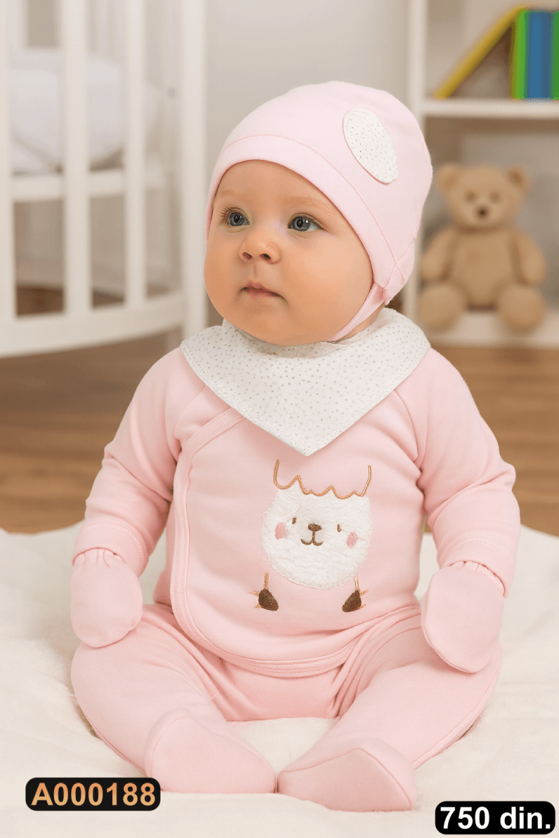 Petodelni set za iznošenje (56)