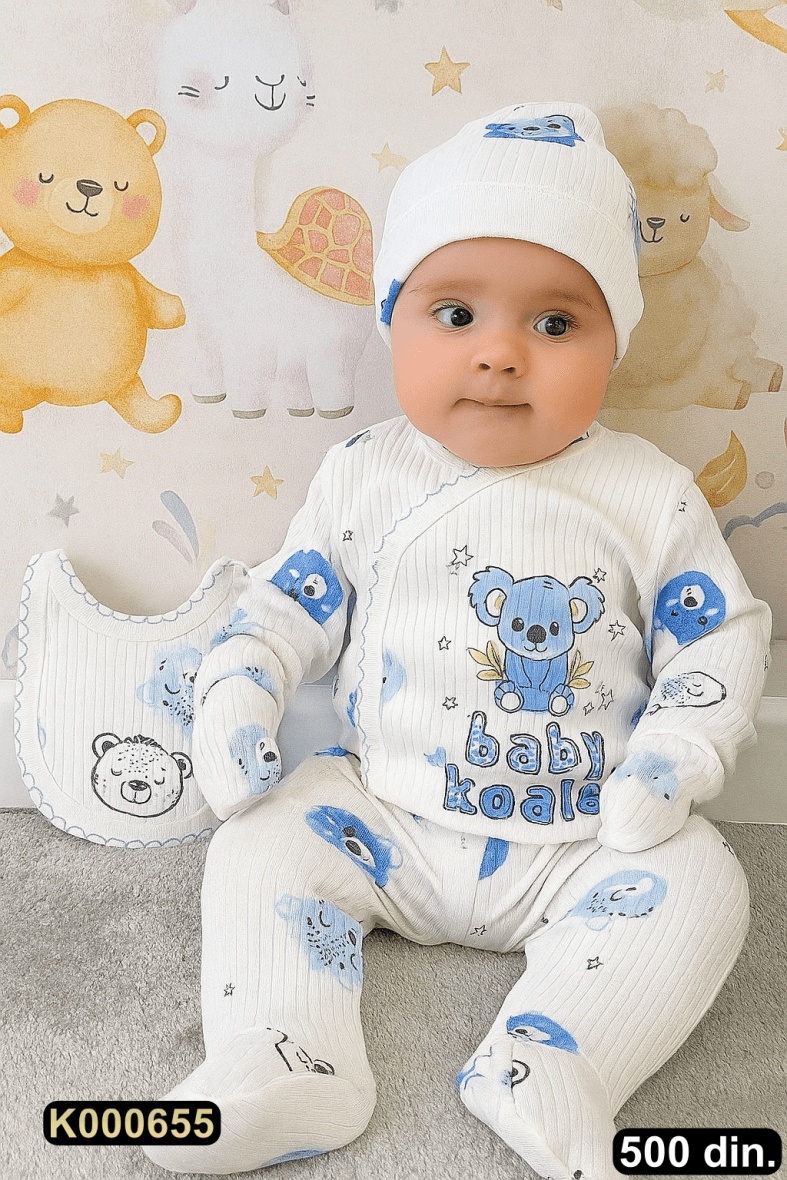 Petodelni set za iznošenje (56)